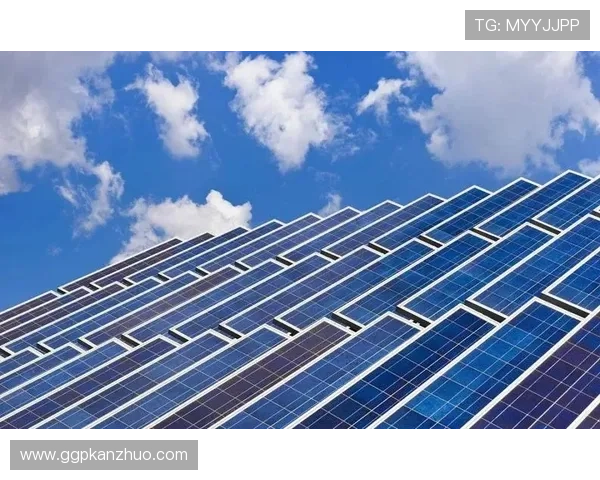 威龙国际:在国际市场中稳步扩展的品牌影响力与行业地位提升 威龙国际:在国际市场中稳步扩展的品牌影响力与行业地位提升